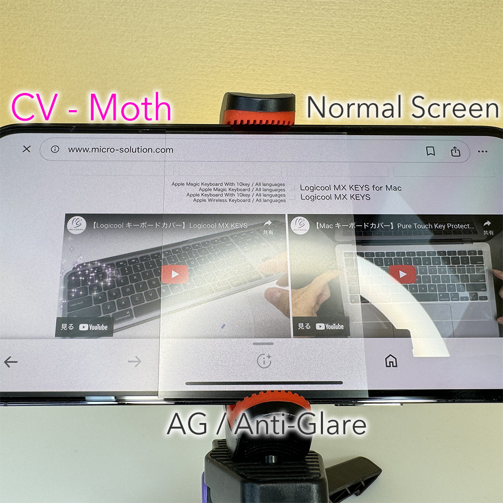 CV Moth